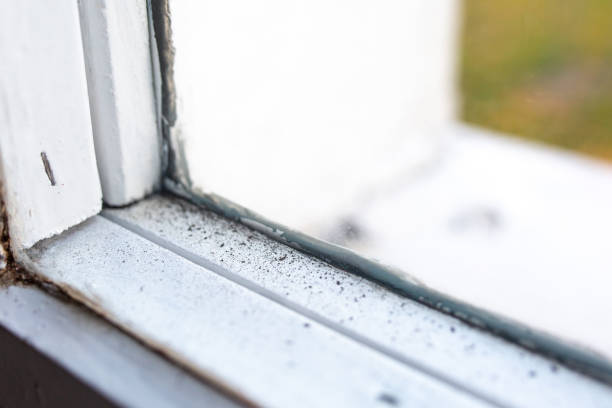 Forensic Mold Investigation in Broken Arrow, OK
