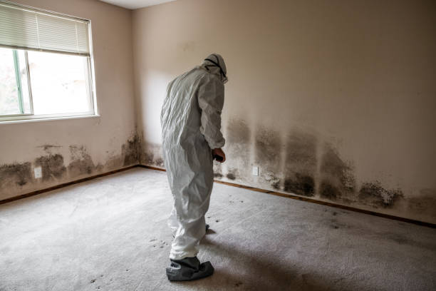 Best Industrial Mold Remediation  in Bren Arrow, OK