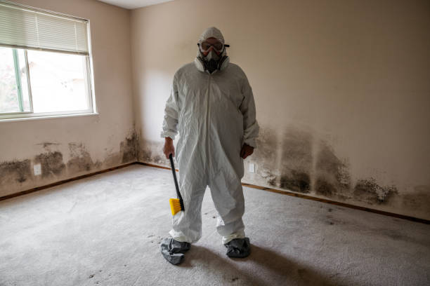 Best Biohazard Mold Removal  in Bren Arrow, OK